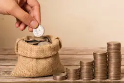 como funciona una caja de ahorro